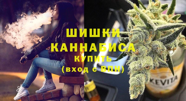 прущие грибы Магадан