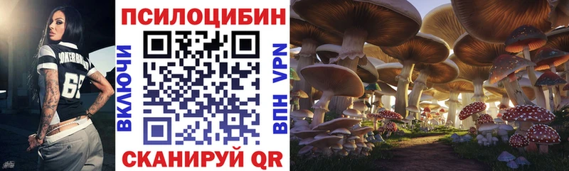 Галлюциногенные грибы MAGIC MUSHROOMS  Никольское 